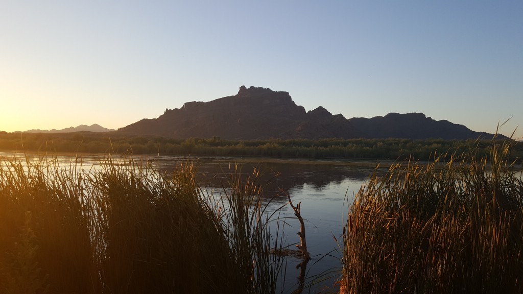 Salt River, Mesa, AZ-4